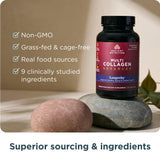 Ancient Nutrition probiotiques integres ingredients pour soutenir l equilibre intestinal
