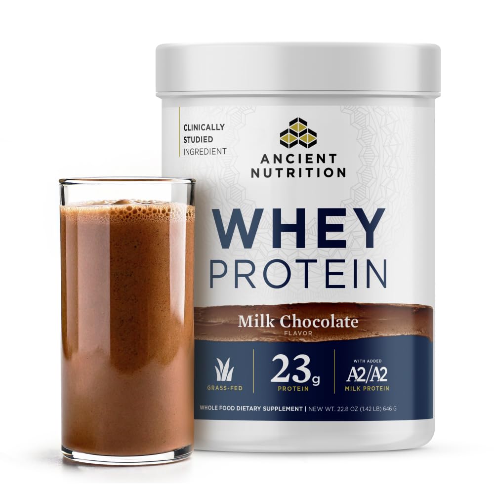 Ancient Nutrition protéine lactosérum chocolat lait, boîte prête pour l’entraînement.
