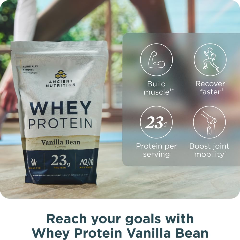 Ancient Nutrition Protéine Lait A2/A2 Vanille, digestion potentiellement douce.