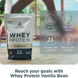Ancient Nutrition Protéine Lait A2/A2 Vanille, digestion potentiellement douce.