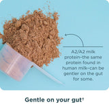 Ancient Nutrition protéine lait A2/A2, symboles du lait A2/A2.