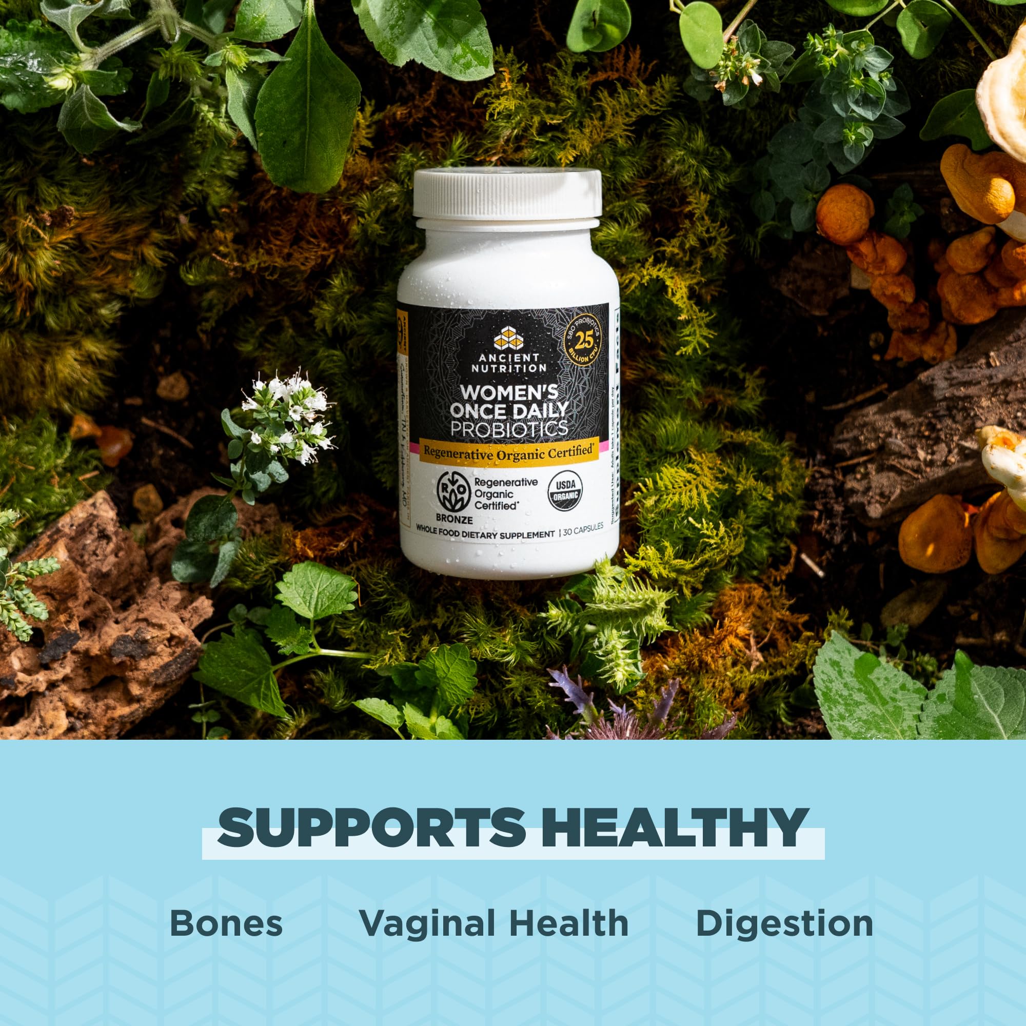 Ancient Nutrition Regenerative Organic Femmes Chaga – mycelium riche en nutriments pour le bien-être.