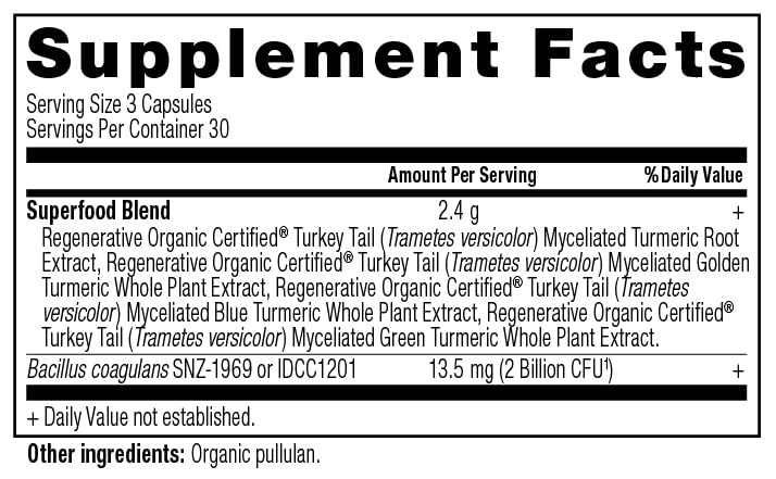 Ancient Nutrition mélange ROC turmerique, extrait doré-vert-bleu, démontrant la variété nutritionnelle.