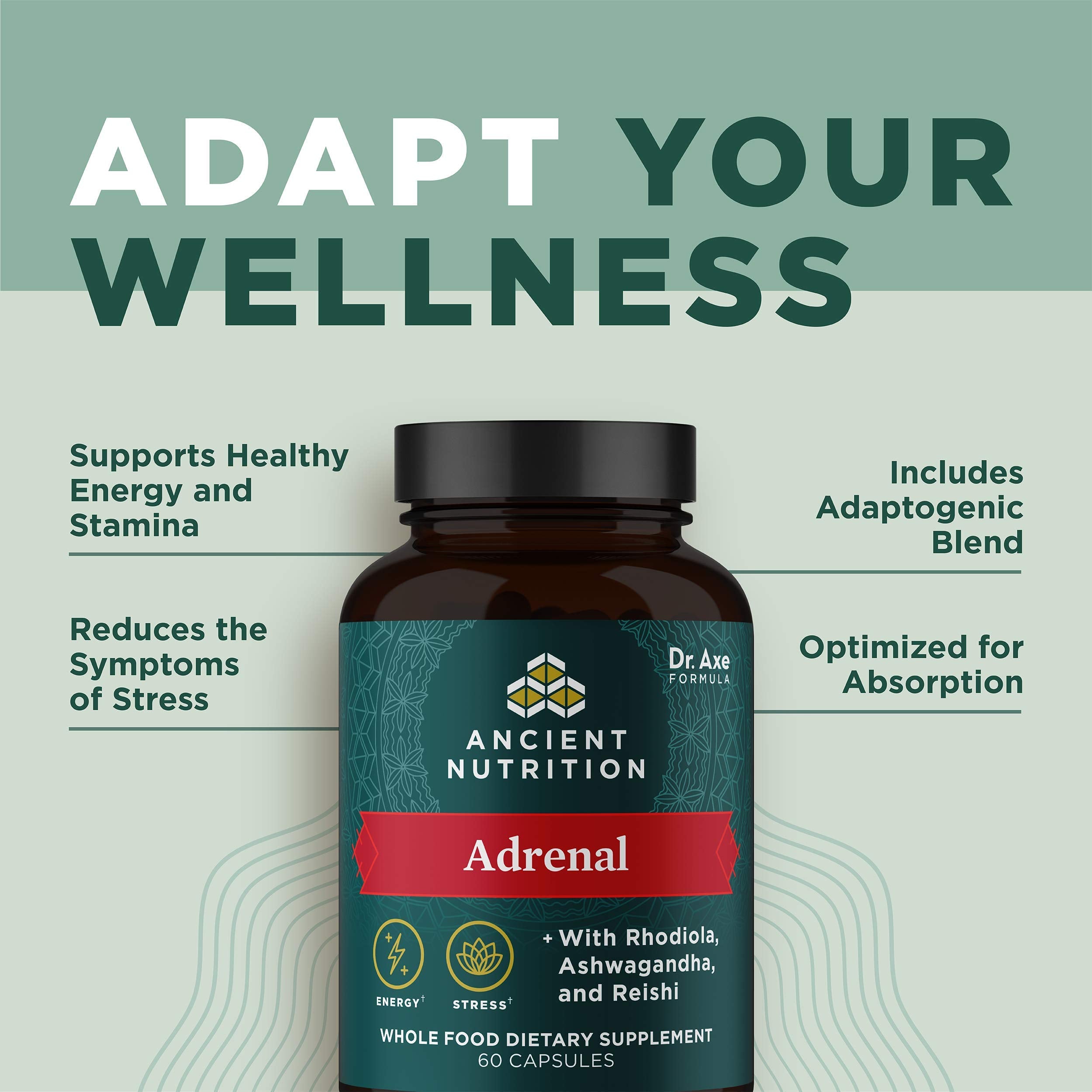 Ancient Nutrition Sans noix - compatible paléo et céto