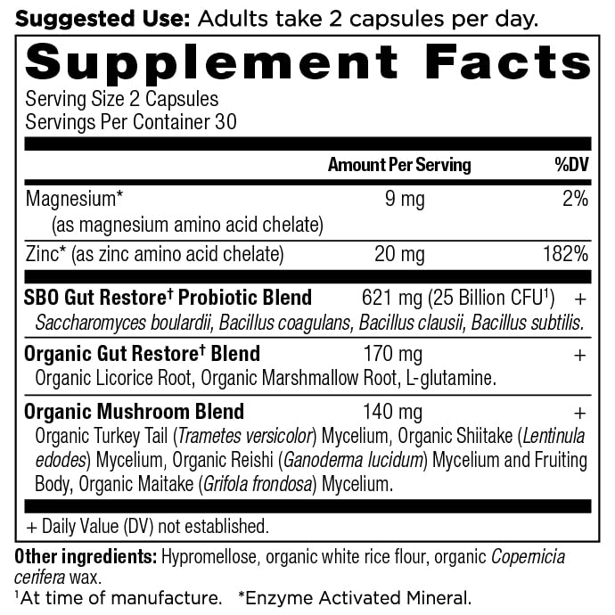 Ancient Nutrition SBO Gut Restore, capsules, vue rapprochée des comprimés faciles à avaler.