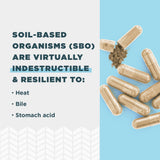 Ancient Nutrition SBO Gut Restore, ingrédients fermentés bio, mélange probiotiques.