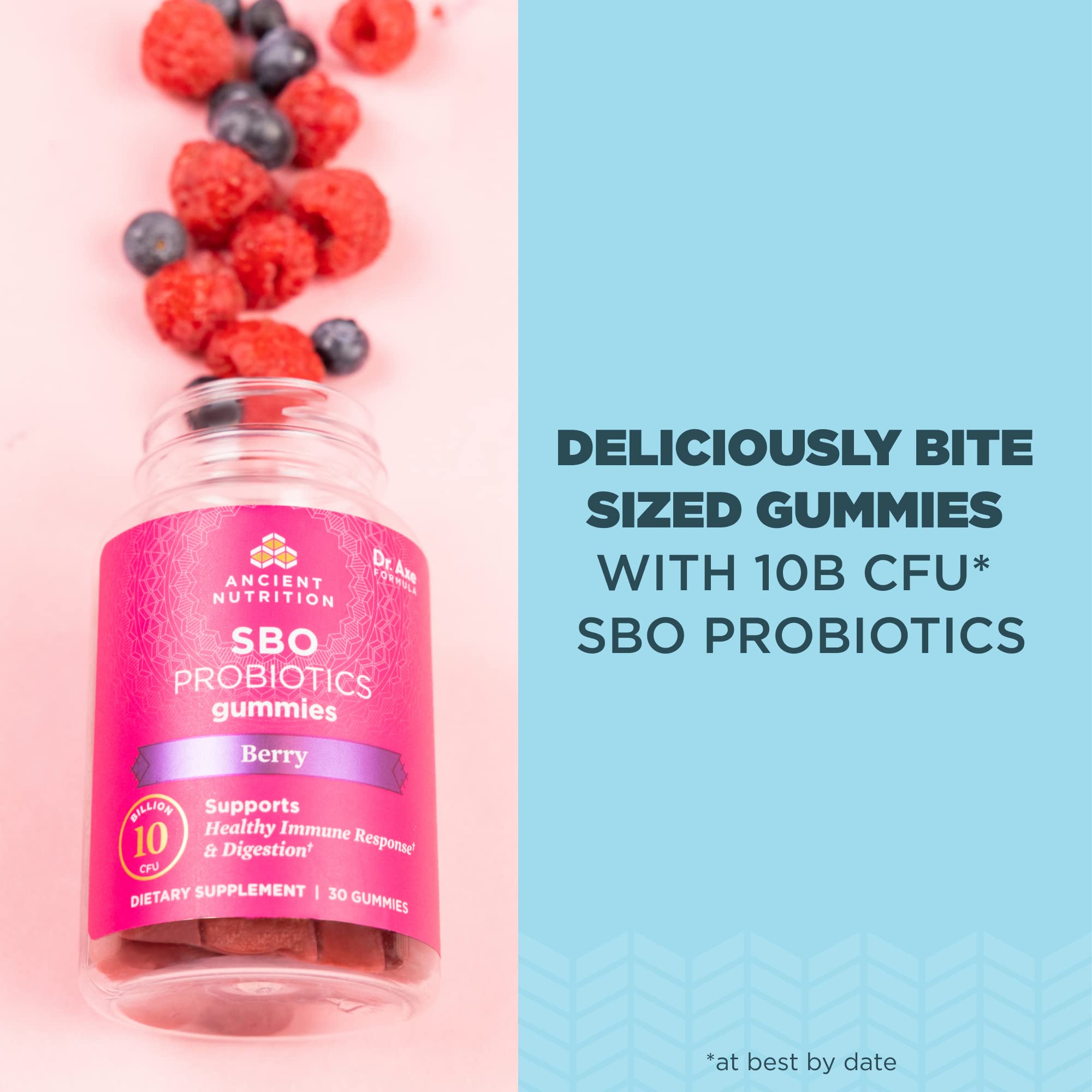 Ancient Nutrition SBO Probiotics Gommes Framboise – étiquette claire affichant ingrédients et qualité