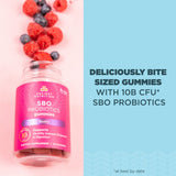Ancient Nutrition SBO Probiotics Gommes Framboise – étiquette claire affichant ingrédients et qualité