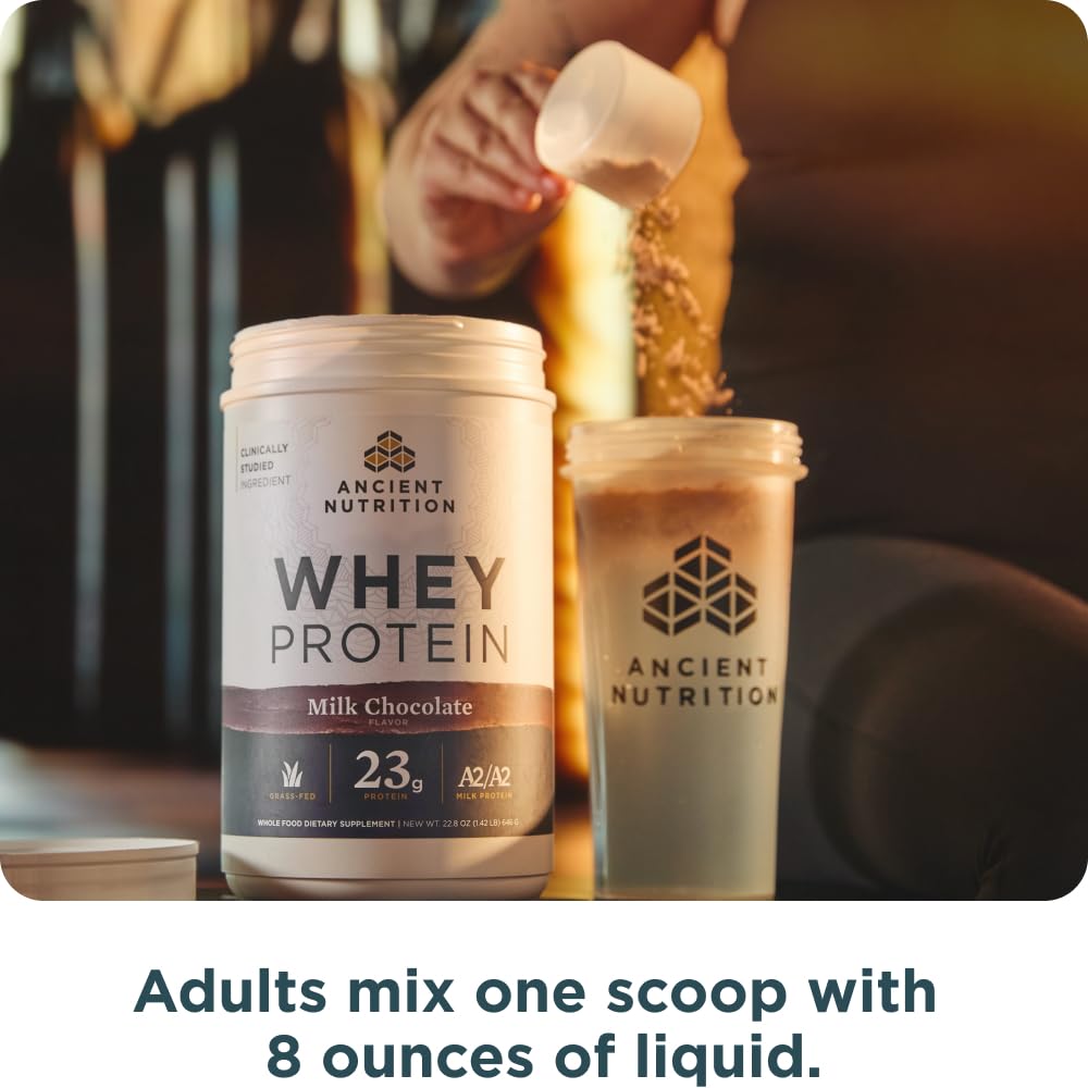 Ancient Nutrition servir shake chocolat, boisson rapide au goût chocolat.