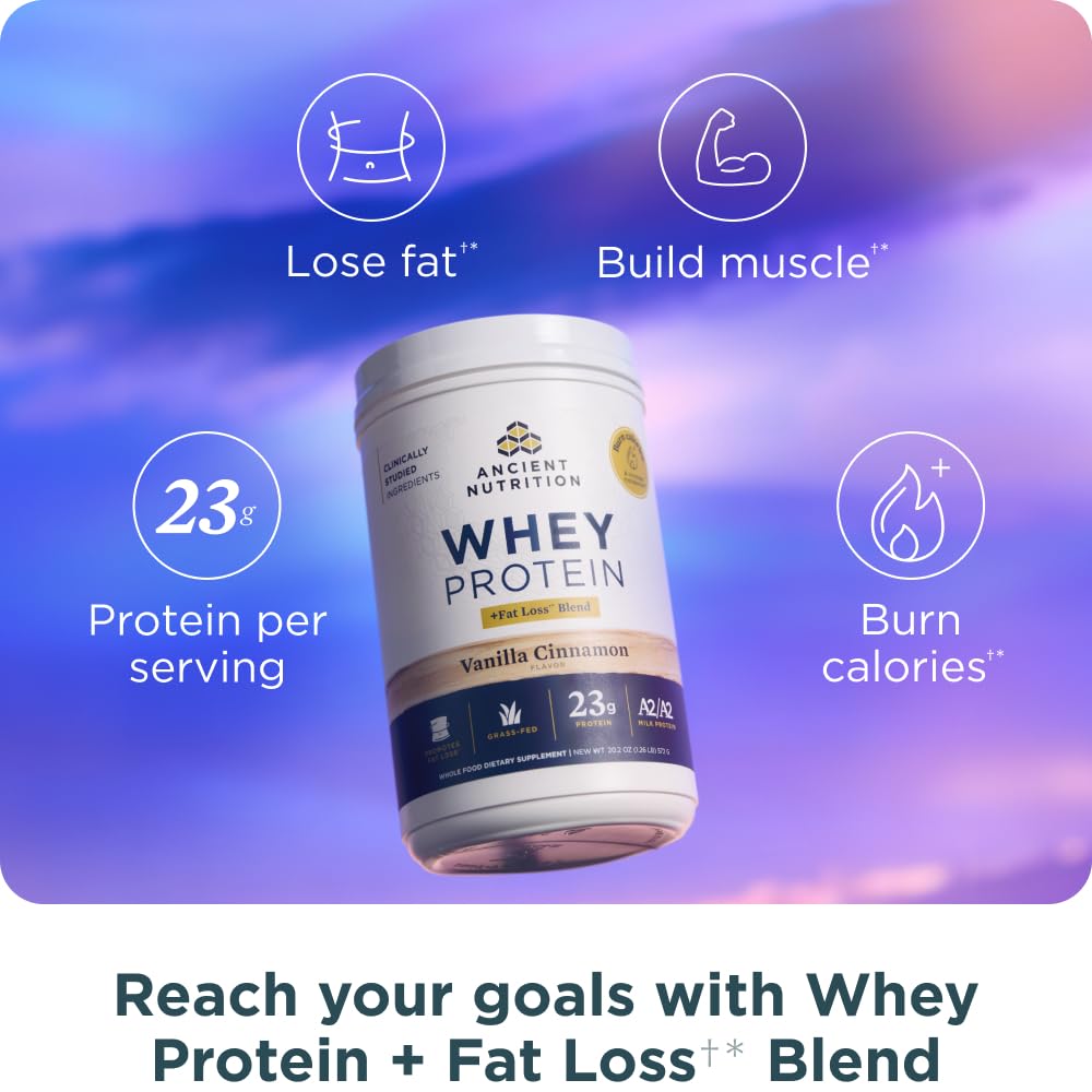 Ancient Nutrition shake-protein vanille cannelle prêt en un instant