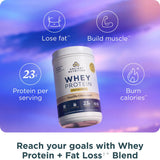 Ancient Nutrition shake-protein vanille cannelle prêt en un instant