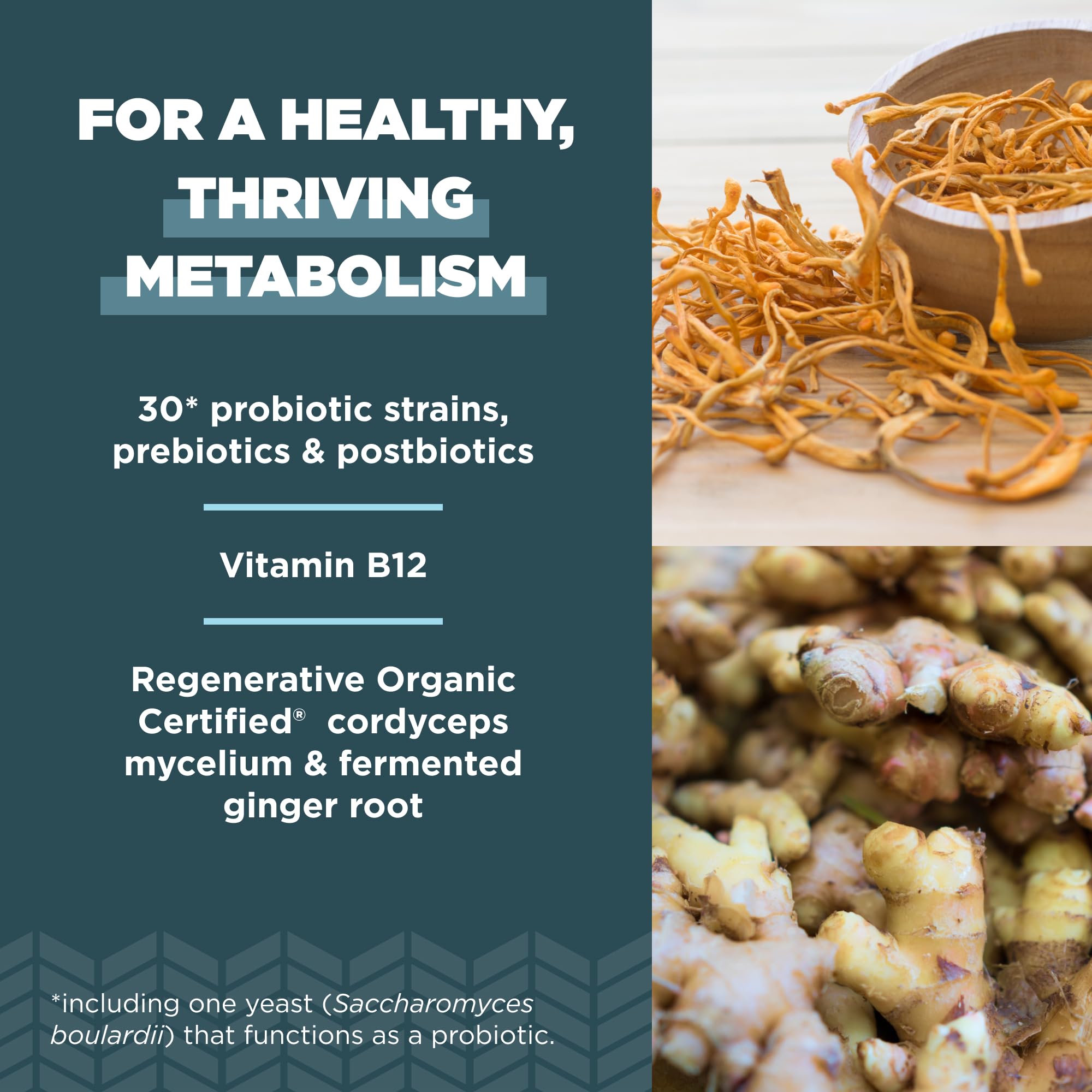 Ancient Nutrition: souches-probiotiques-diverses pour une flore intestinale variée.