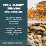 Ancient Nutrition: souches-probiotiques-diverses pour une flore intestinale variée.