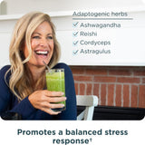 Ancient Nutrition Super Greens – mélange spiruline pour énergie naturelle
