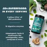 Ancient Nutrition SuperGreens mélange fruits et légumes pour un apport pratique.