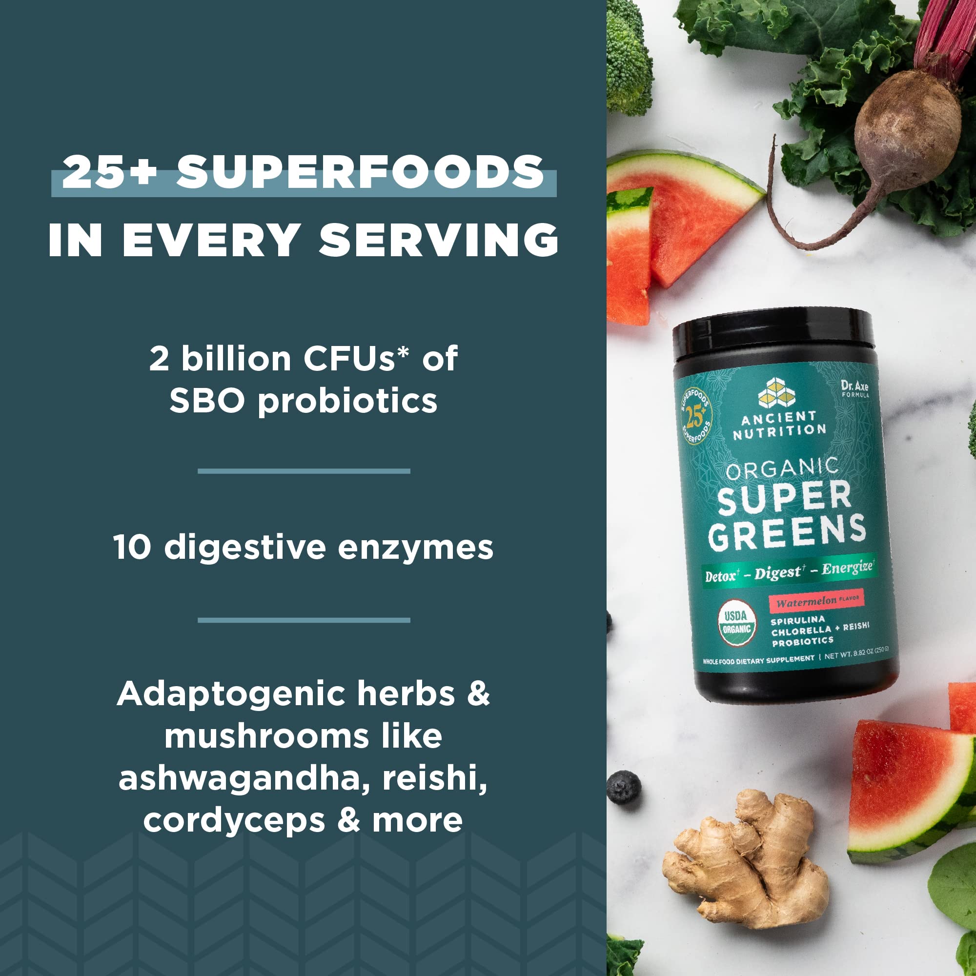 Ancient Nutrition SuperGreens ingrédients : mélange naturel pour soutenir l'énergie et la vitalité au quotidien.