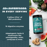 Ancient Nutrition SuperGreens ingrédients : mélange naturel pour soutenir l'énergie et la vitalité au quotidien.