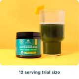 Ancient Nutrition SuperGreens mélange rapide pour boisson pratique.