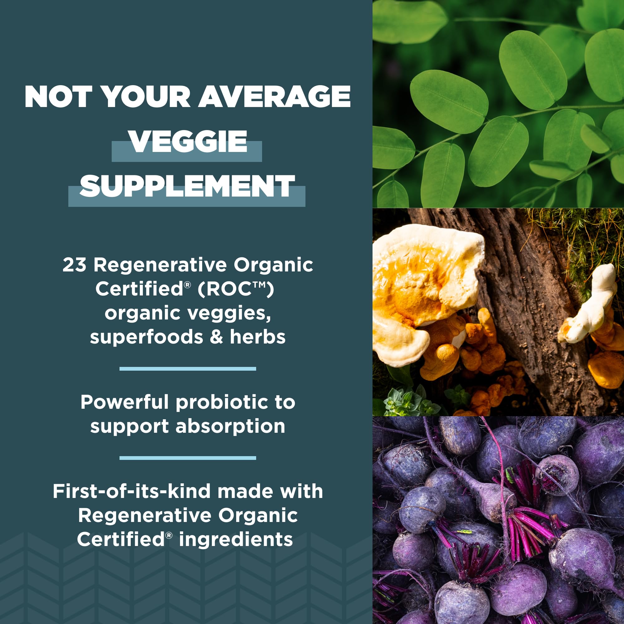 Ancient Nutrition SuperVeggies Capsules, focus brocoli, antioxydants et vitamines variés.