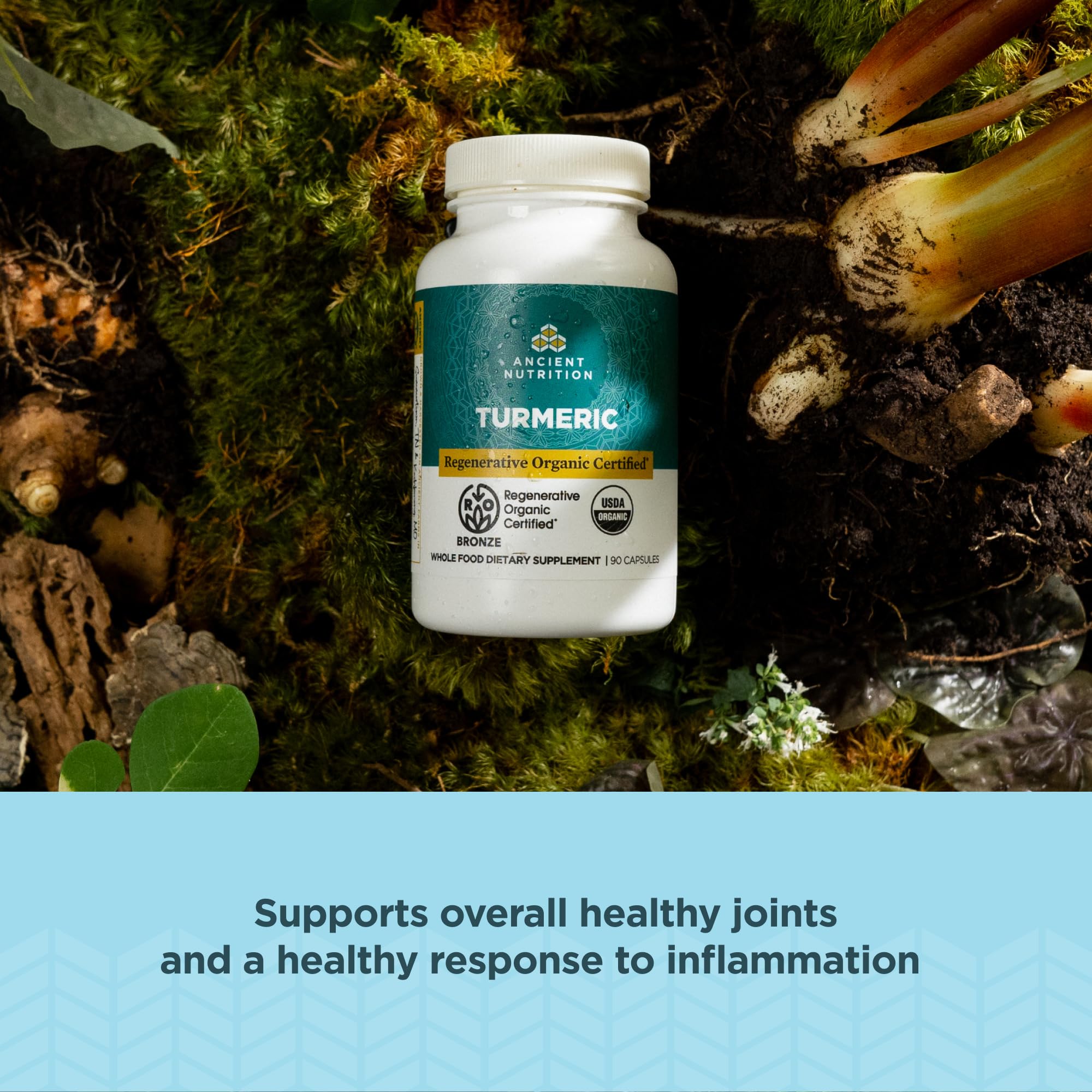 Ancient Nutrition Turmeric ROC, extrait doré-vert-bleu, montre la richesse de la formule.