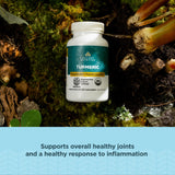 Ancient Nutrition Turmeric ROC, extrait doré-vert-bleu, montre la richesse de la formule.