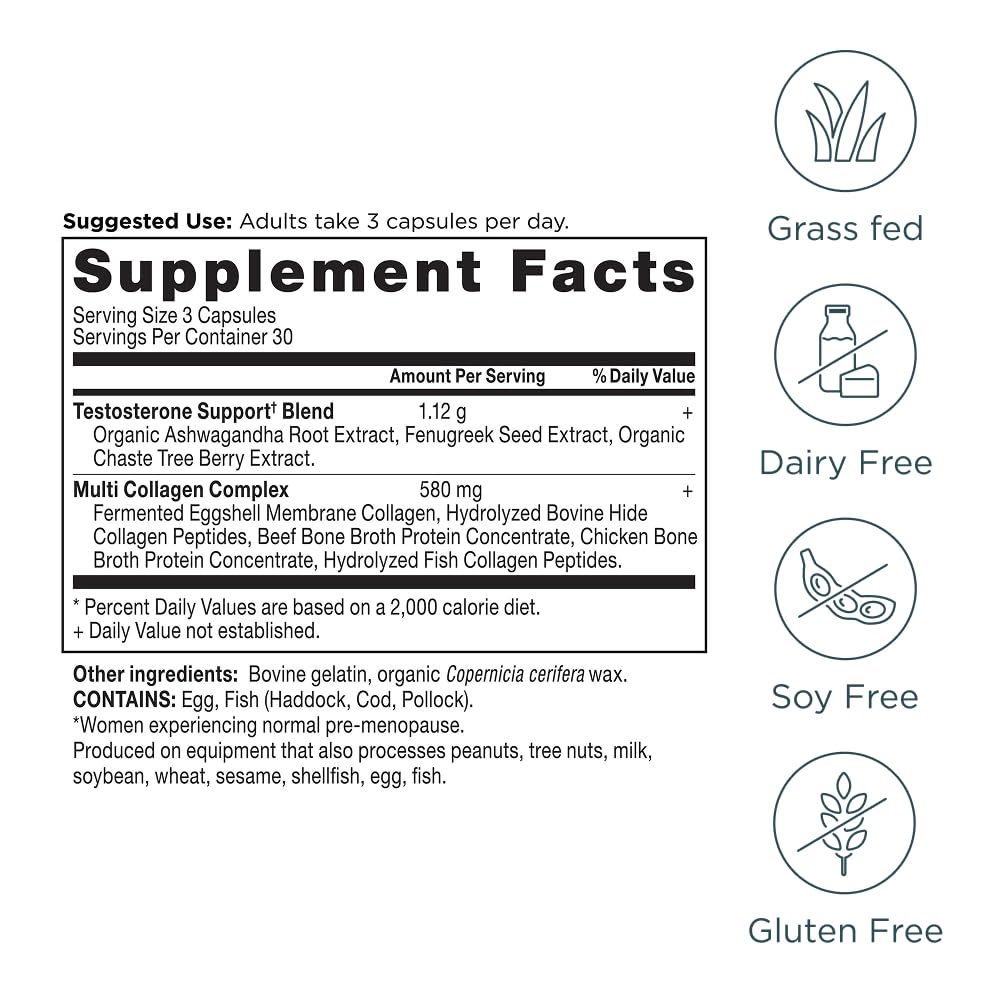 Ancient Nutrition utilisation quotidienne capsules — intégration simple dans votre routine.