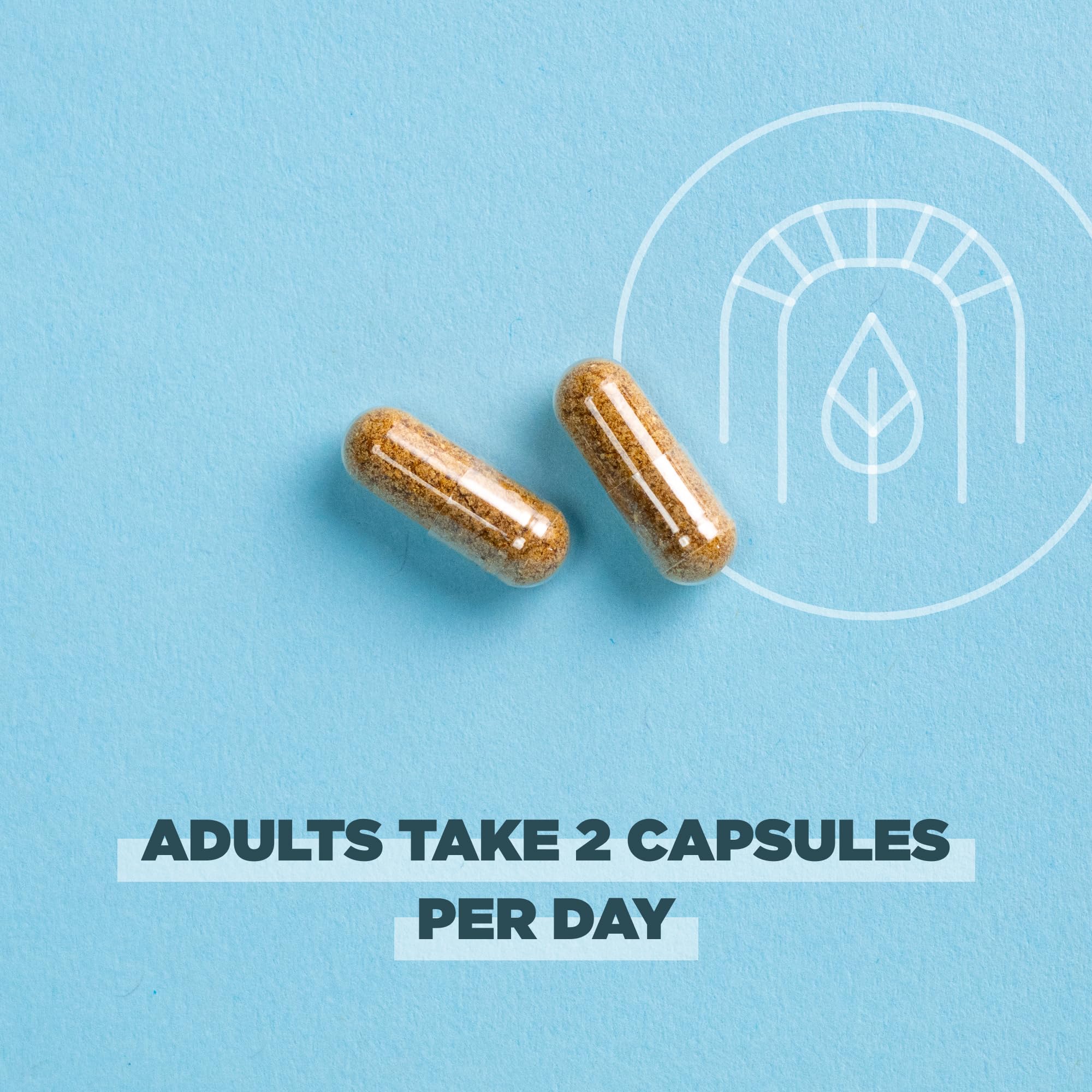 Ancient Nutrition Superfruits Capsules – prise avec eau pour une routine quotidienne pratique.