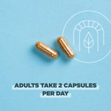 Ancient Nutrition Superfruits Capsules – prise avec eau pour une routine quotidienne pratique.