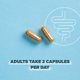 Ancient Nutrition Probiotiques – verser capsules dans verre pour soutenir la routine digestive.
