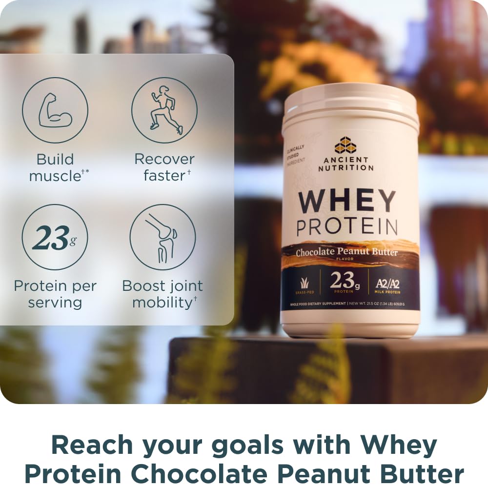 Ancient Nutrition protéine whey chocolat cacahuete poudre, dosage simple et pratique