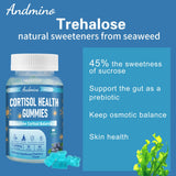 andmino Daytime Cortisol Gummies – ingrédients clés et goût myrtille, formule adaptée au quotidien.