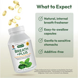Breath Plus — huile de persil comme ingrédient actif.