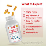 CoQ10 d'Andrew Lessman associé à la vitamine C pour une protection antioxydante