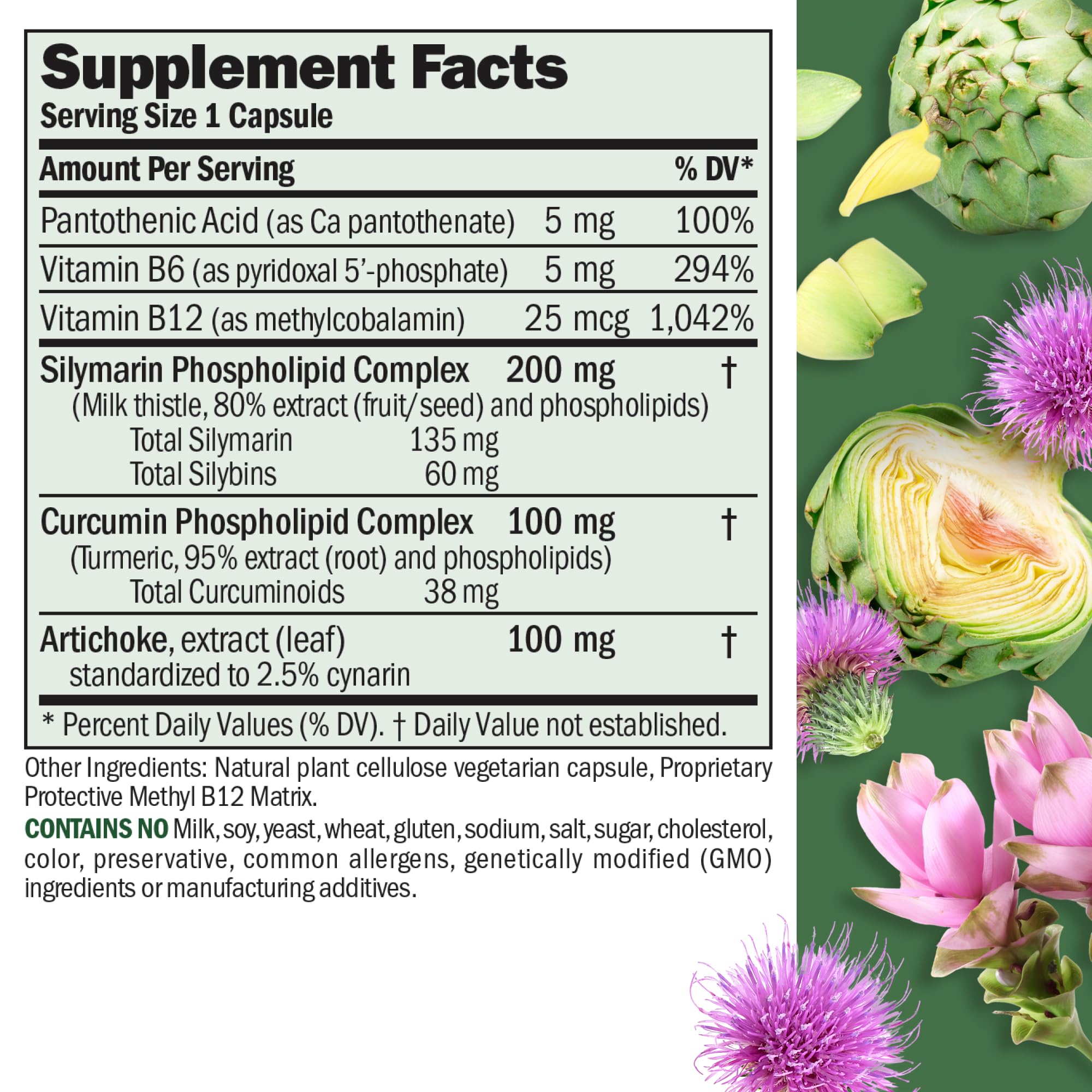 ANDREW LESSMAN Extraits Foie – Capsules prises, formule naturelle pour la fonction hépatique.
