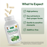 Fibermucil Lactobacillus sporogenes — probiotique naturel pour l'équilibre intestinal.