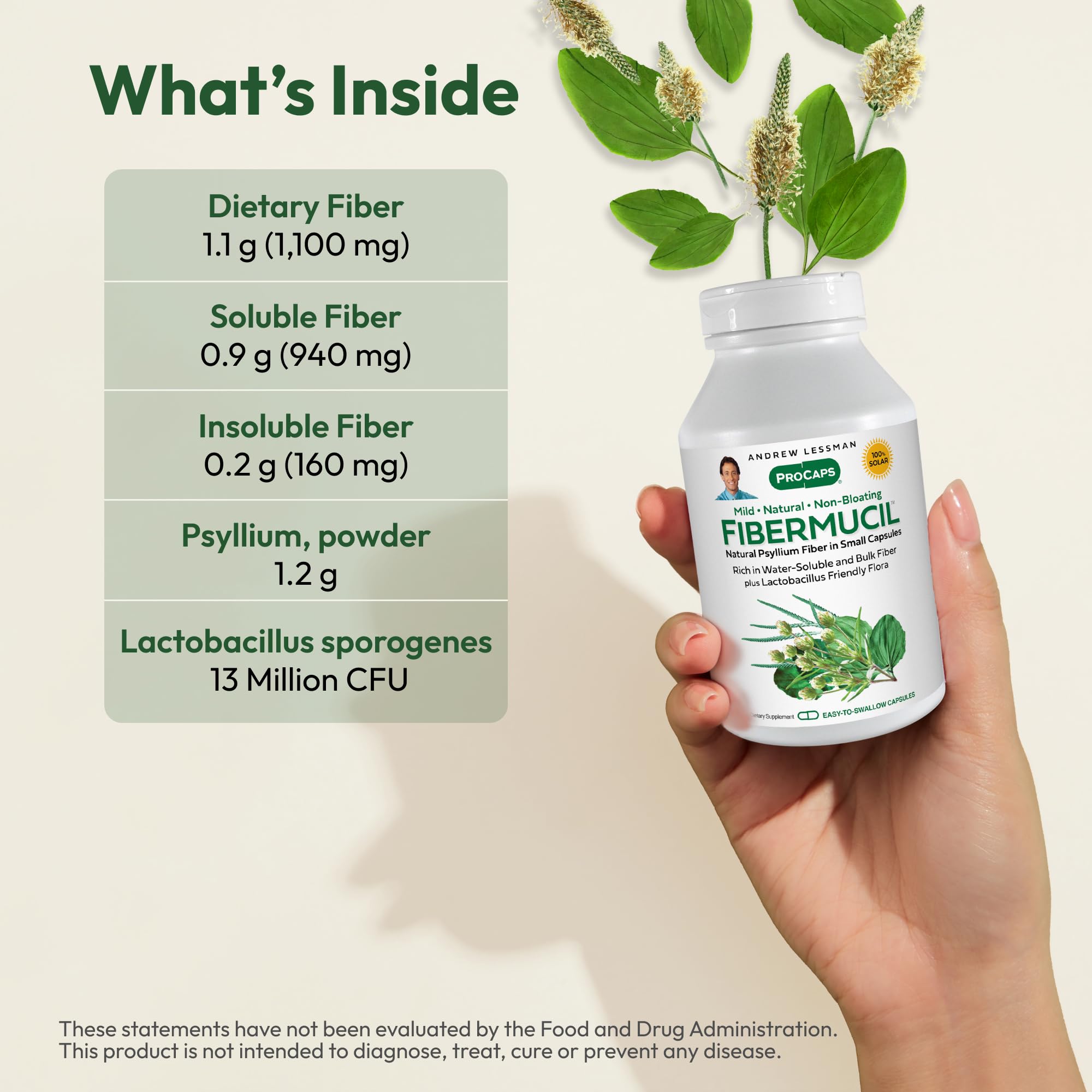 Fibermucil poudre psyllium — source naturelle de fibre pour la digestion.