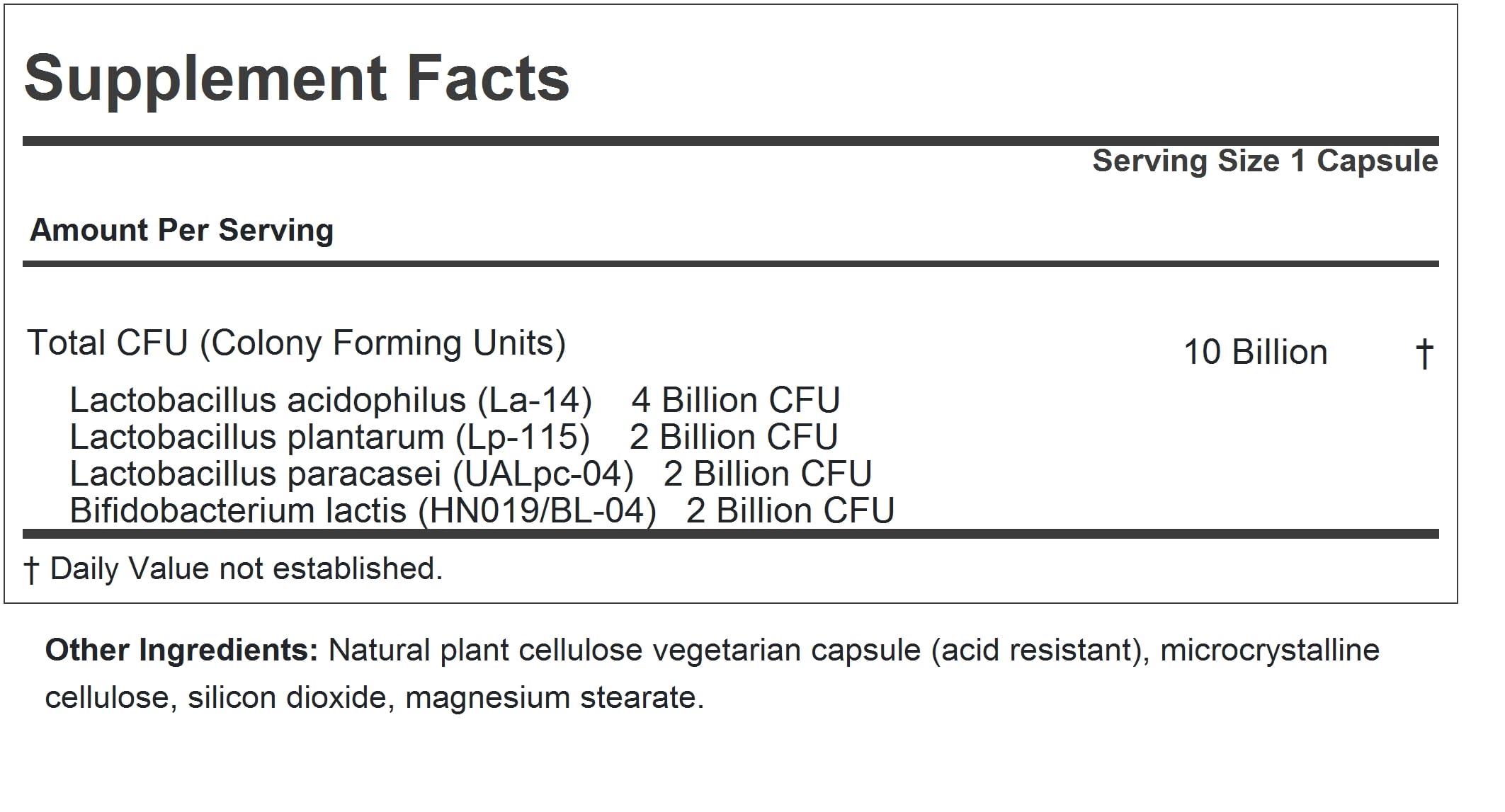 Capsules ANDREW LESSMAN Friendly Flora Probiotic faciles à avaler et efficaces