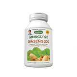 Andrew Lessman Ginkgo 120 Plus Ginseng 200mg - bouteille sur fond blanc, soutien potentiel de concentration.