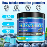 AnFamer Gommes Créatine Monohydrate – option végan sans sucre et gluten, saveur myrtille