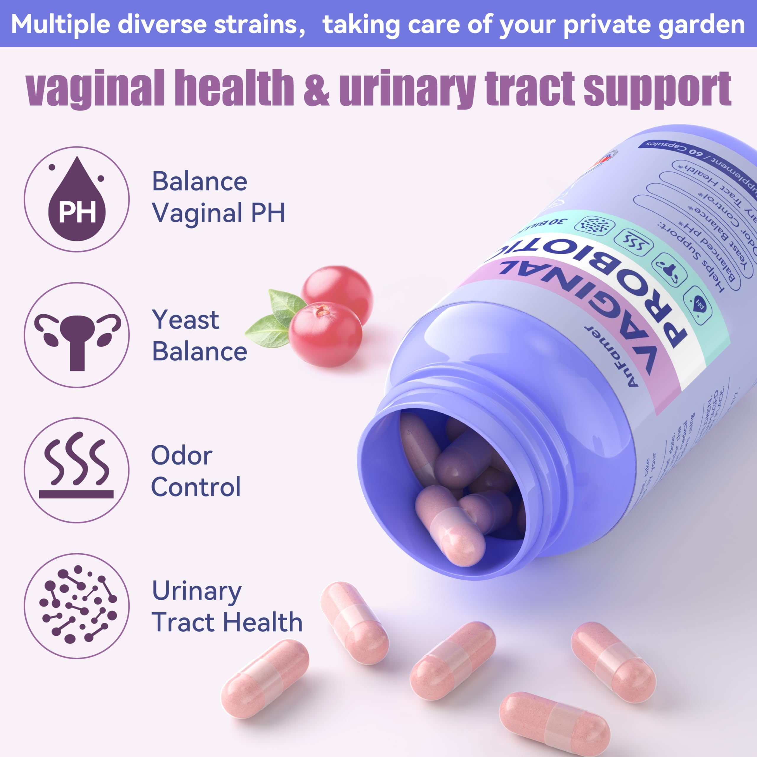 AnFamer: quatre souches Lactobacillus favorisent l'environnement vaginal et urinaire