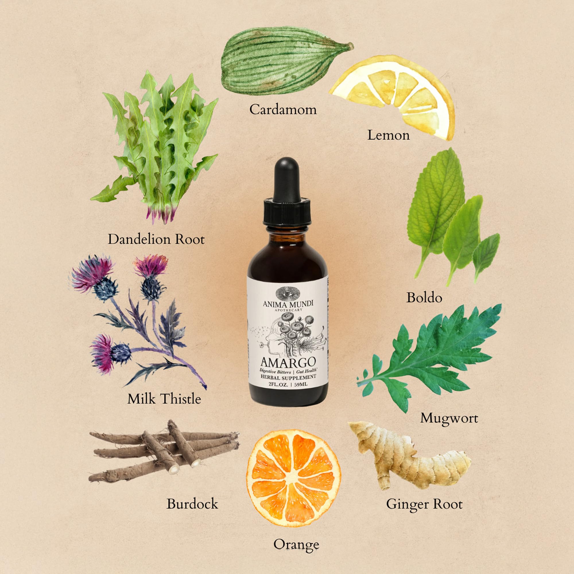 Gouttes Anima Mundi Amargo Digestive Bitters, dosage précis