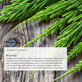 Anima Mundi Apothecary queue-de-cheval, extrait végétal pour soutien structurel.