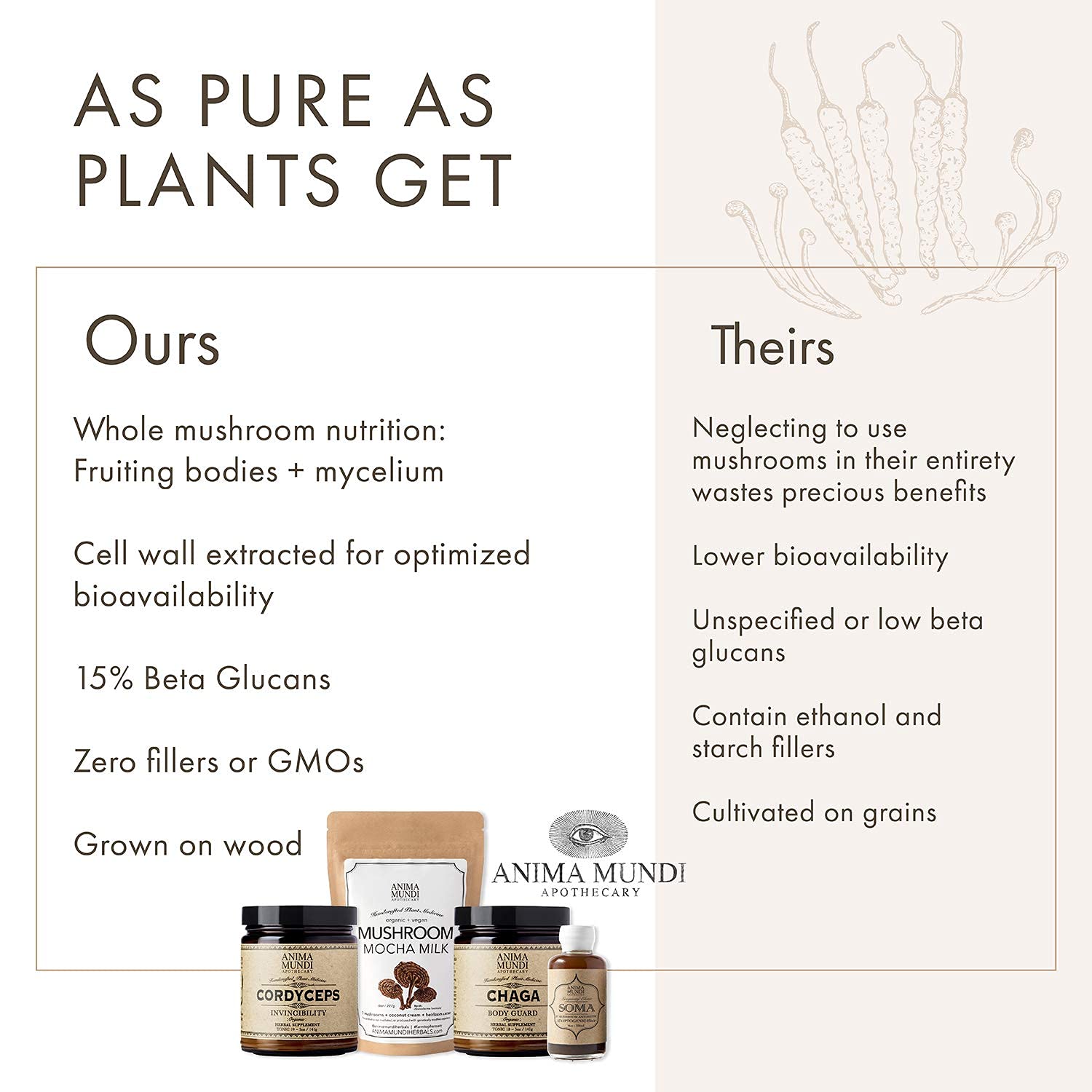 Anima Mundi Chaga poudre-soupe-quotidienne: rehausse les bouillons avec une note terreuse.