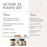 Anima Mundi Chaga poudre-soupe-quotidienne: rehausse les bouillons avec une note terreuse.