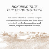 Anima Mundi Golden Moon Milk – vanille, cardamome et lavande pour une expérience sensorielle.