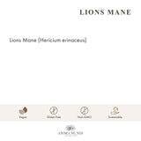 Poudre Les Lions Mane fabriquée localement et emballée à Brooklyn