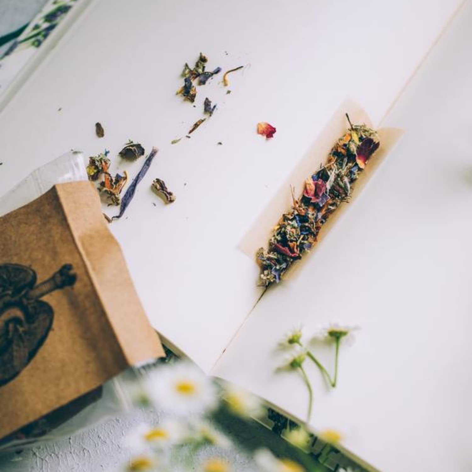 Anima Mundi Apothecary Fumée Sacrée – fleurs de calendula, douceur florale apaisante.