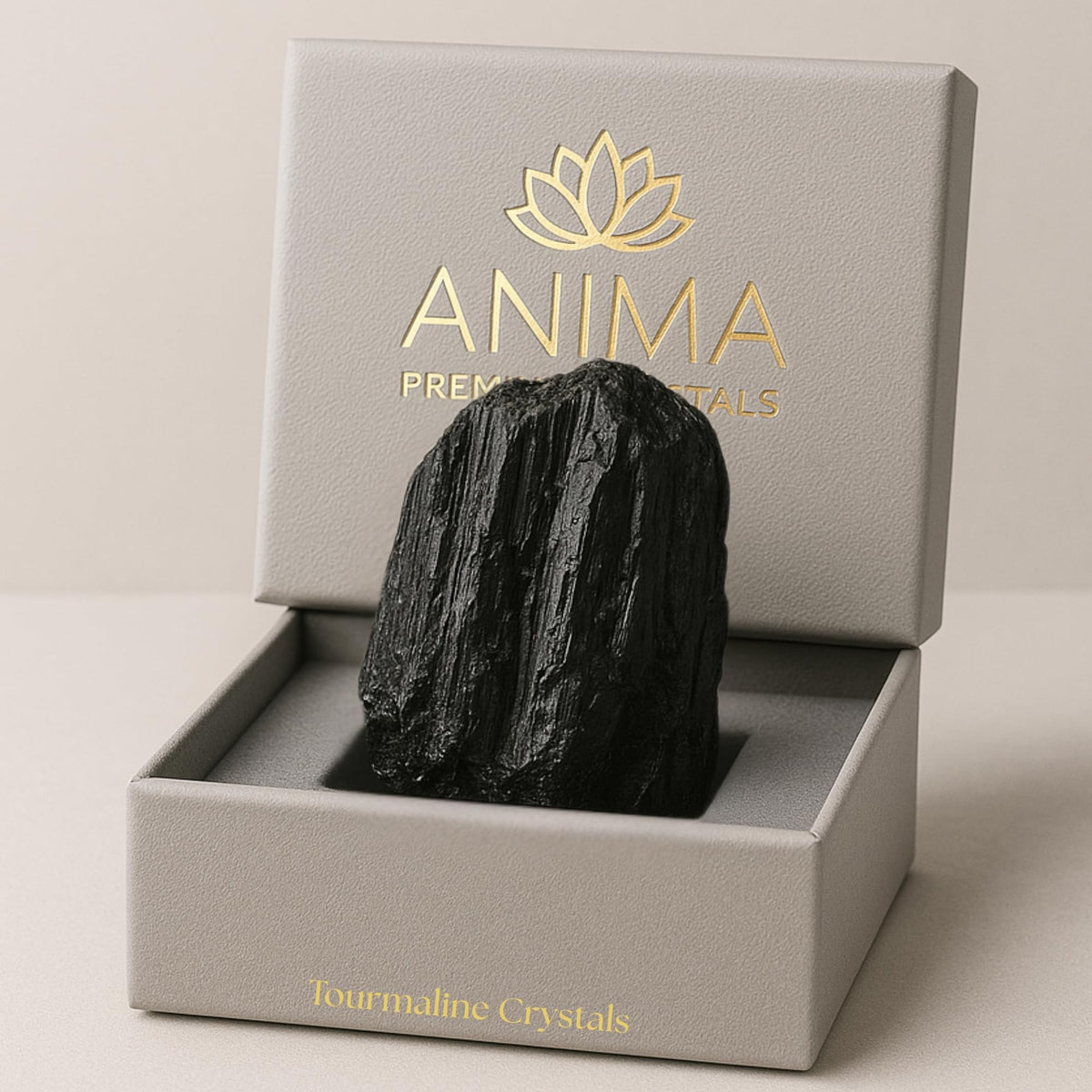 Anima tourmaline noire brute, grande pierre texturée, pour un ancrage naturel.