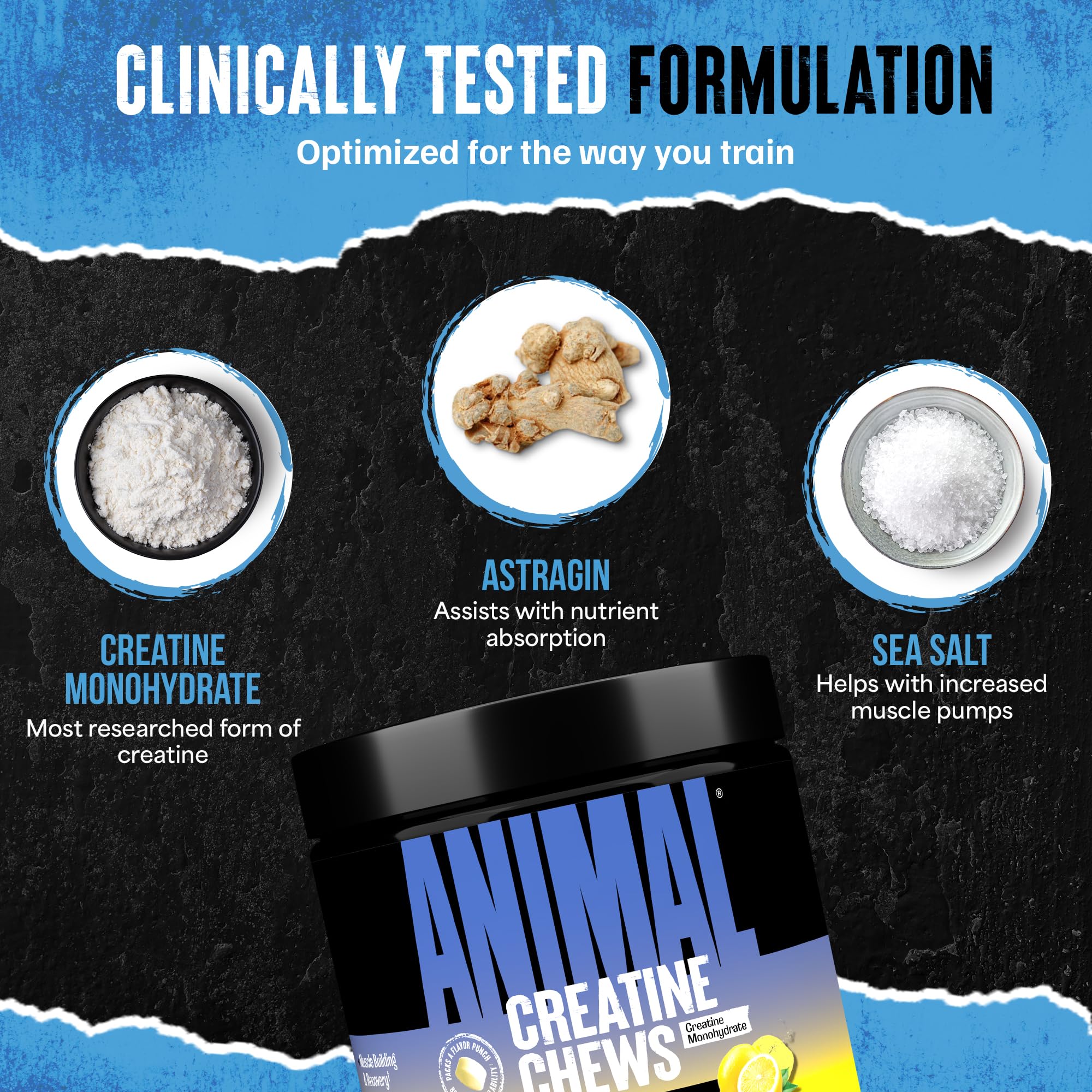 Animal Créatine Chews absorption-astragin, maximise l'absorption pour de meilleures performances.