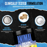 Animal Créatine Chews absorption-astragin, maximise l'absorption pour de meilleures performances.